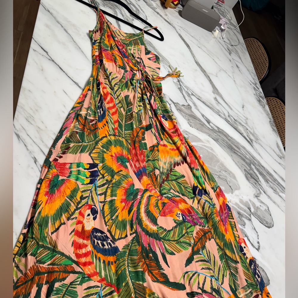 Farm rio silk slip dress - Tropical Parrot Print Maxi - Pink/Green